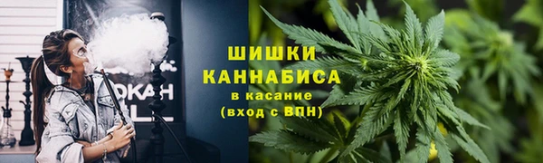 стафф Дмитровск