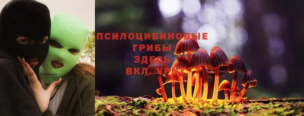 кокс Дмитров