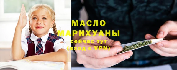 тгк Ельня