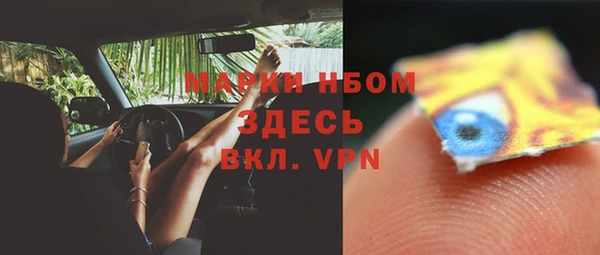 стафф Дмитровск