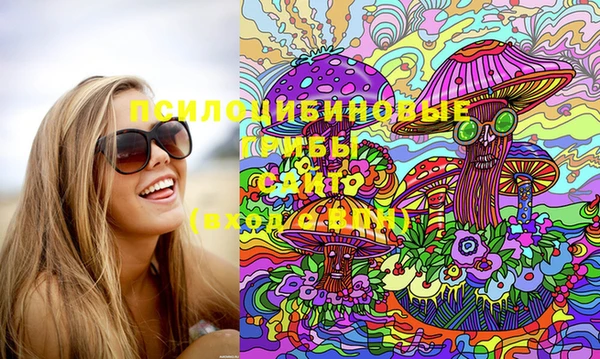 бошки Дмитриев