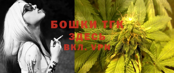 бошки Дмитриев