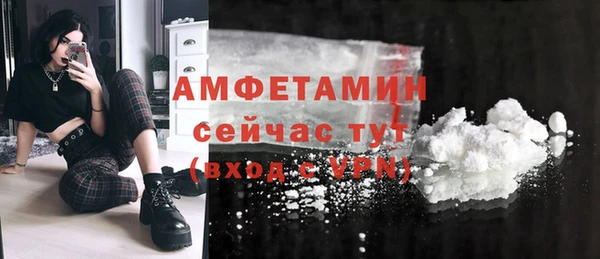тгк Ельня