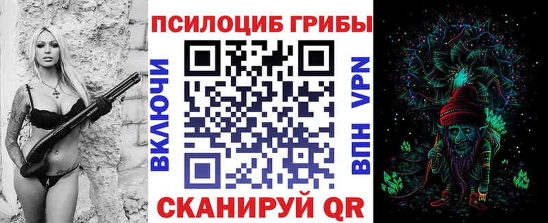 Псилоцибиновые грибы мицелий  Купить закладки  Очёр 